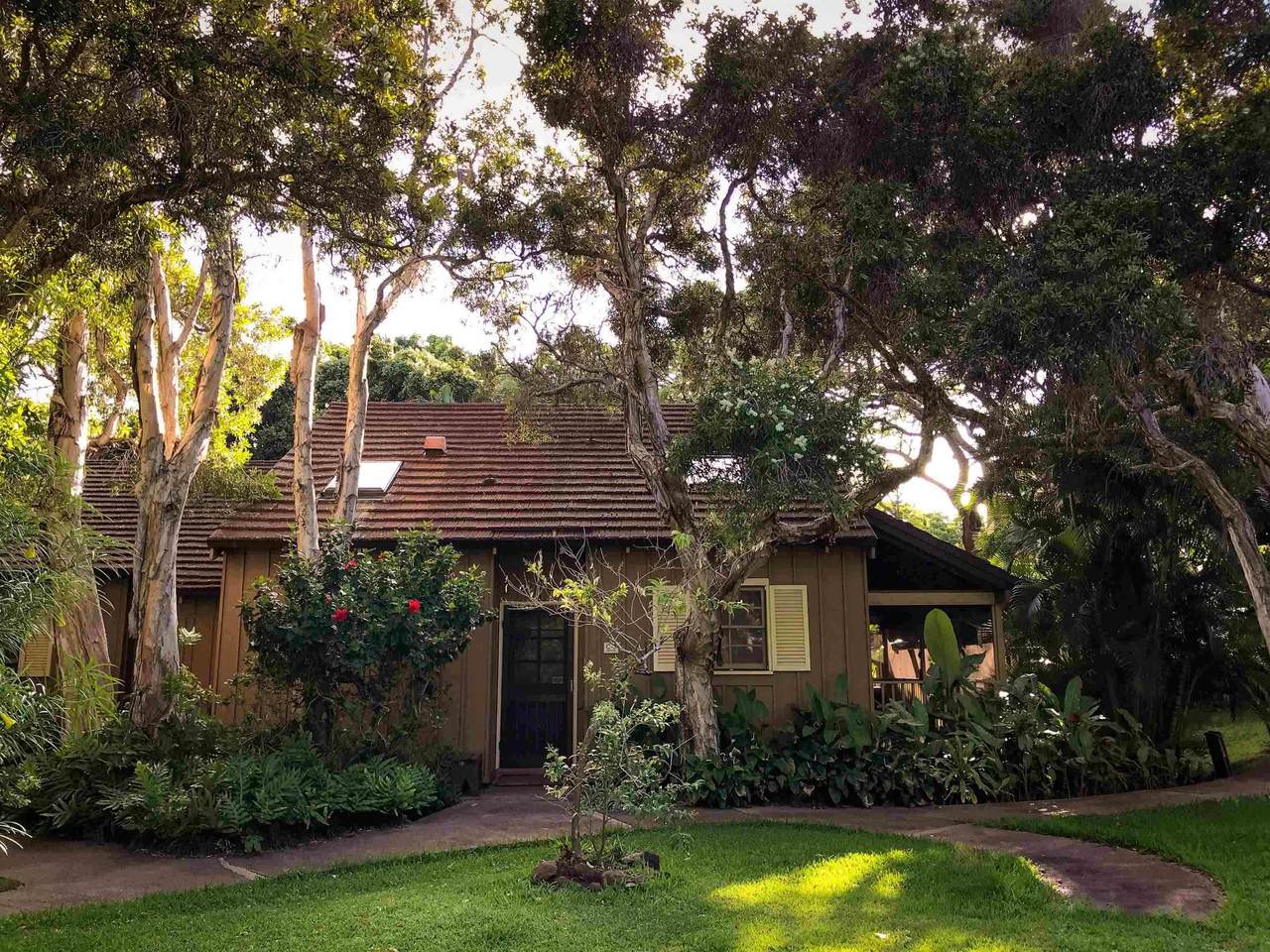 100 Lio Pl - Photo 1