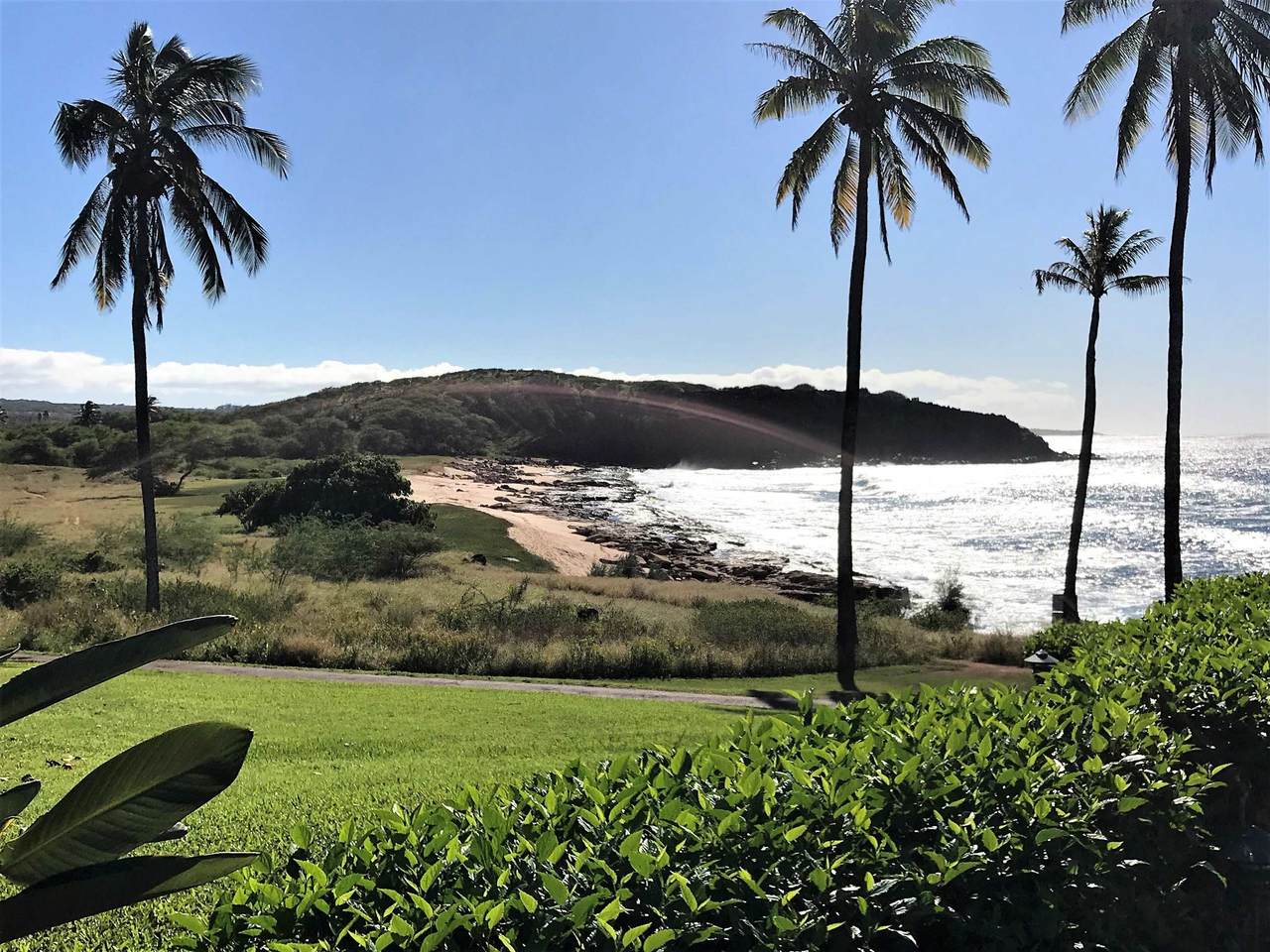 255 Kepuhi Pl - Photo 1