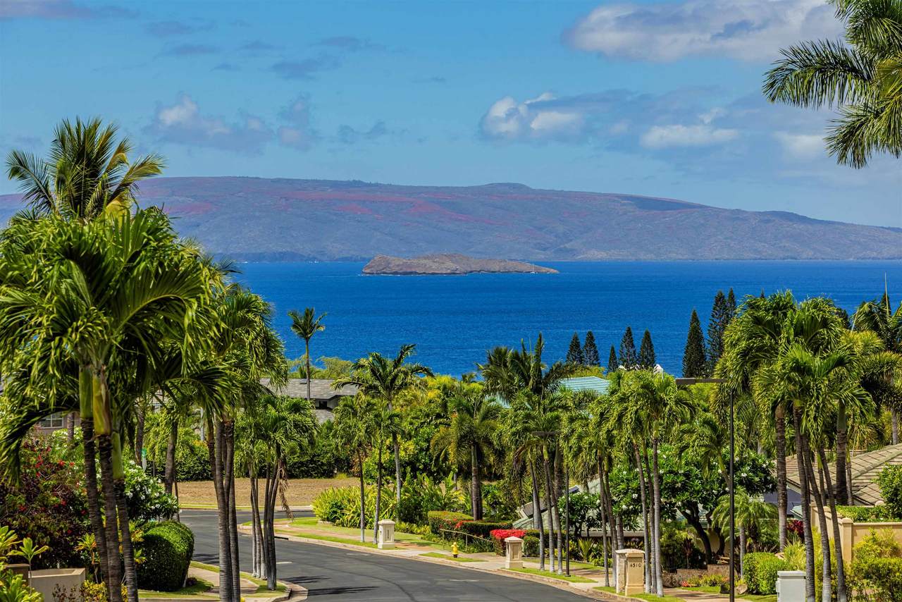 4281 Wailina Pl - Photo 1