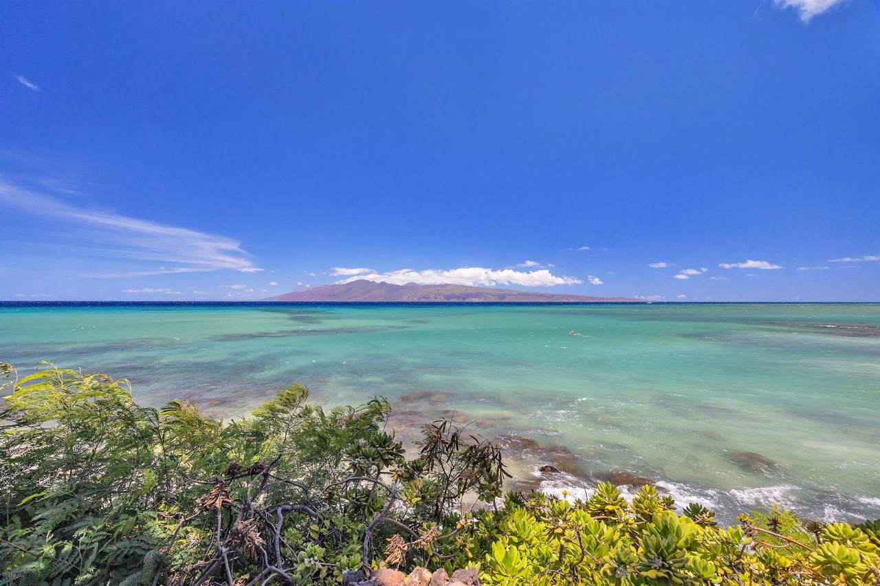 https://bt-photos.global.ssl.fastly.net/maui/1280_boomver_1_406789-12.jpg
