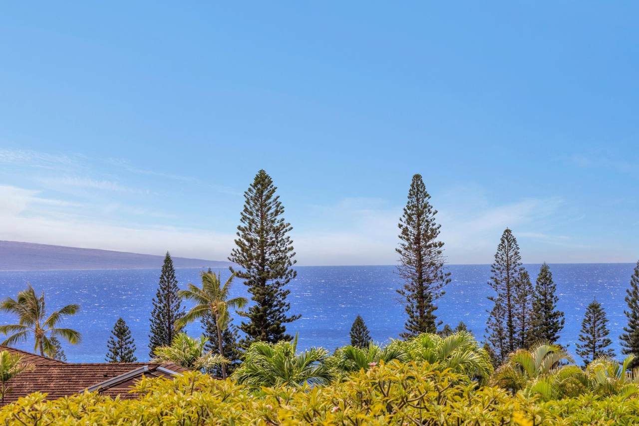 50 Puu Anoano St - Photo 1