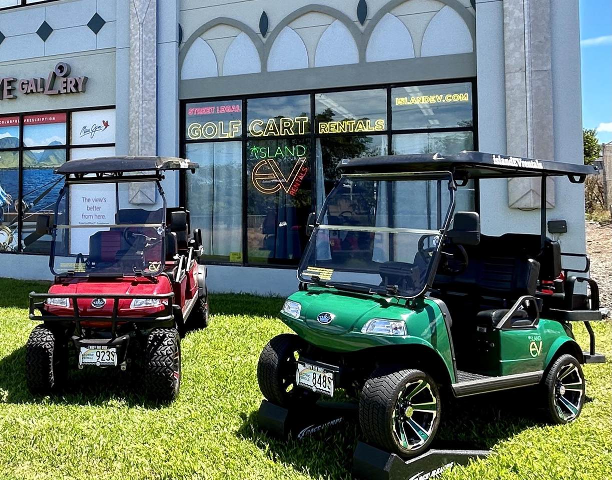 380 Huku Lii Pl - Photo 1