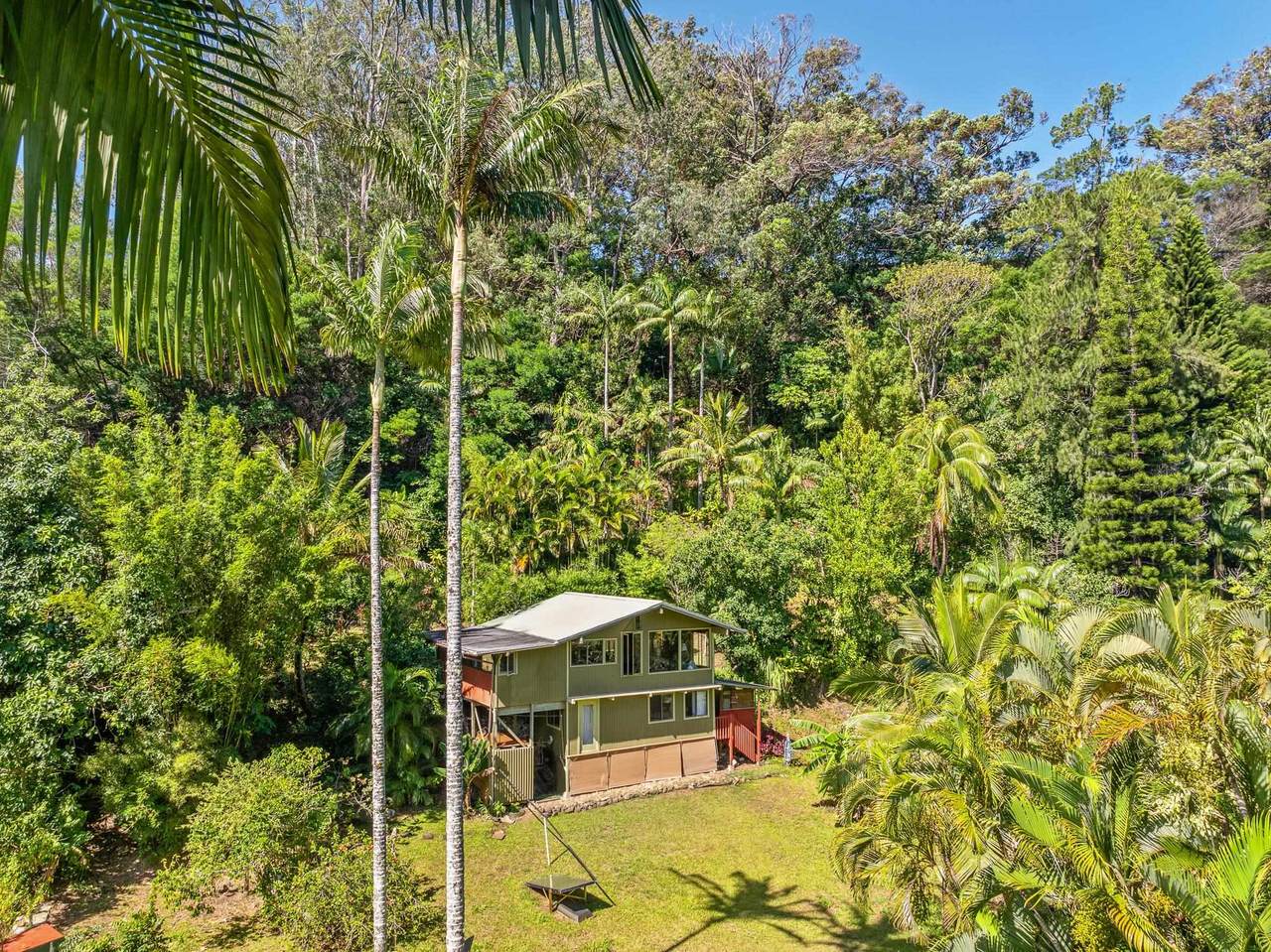 106 Hikiau Rd - Photo 1