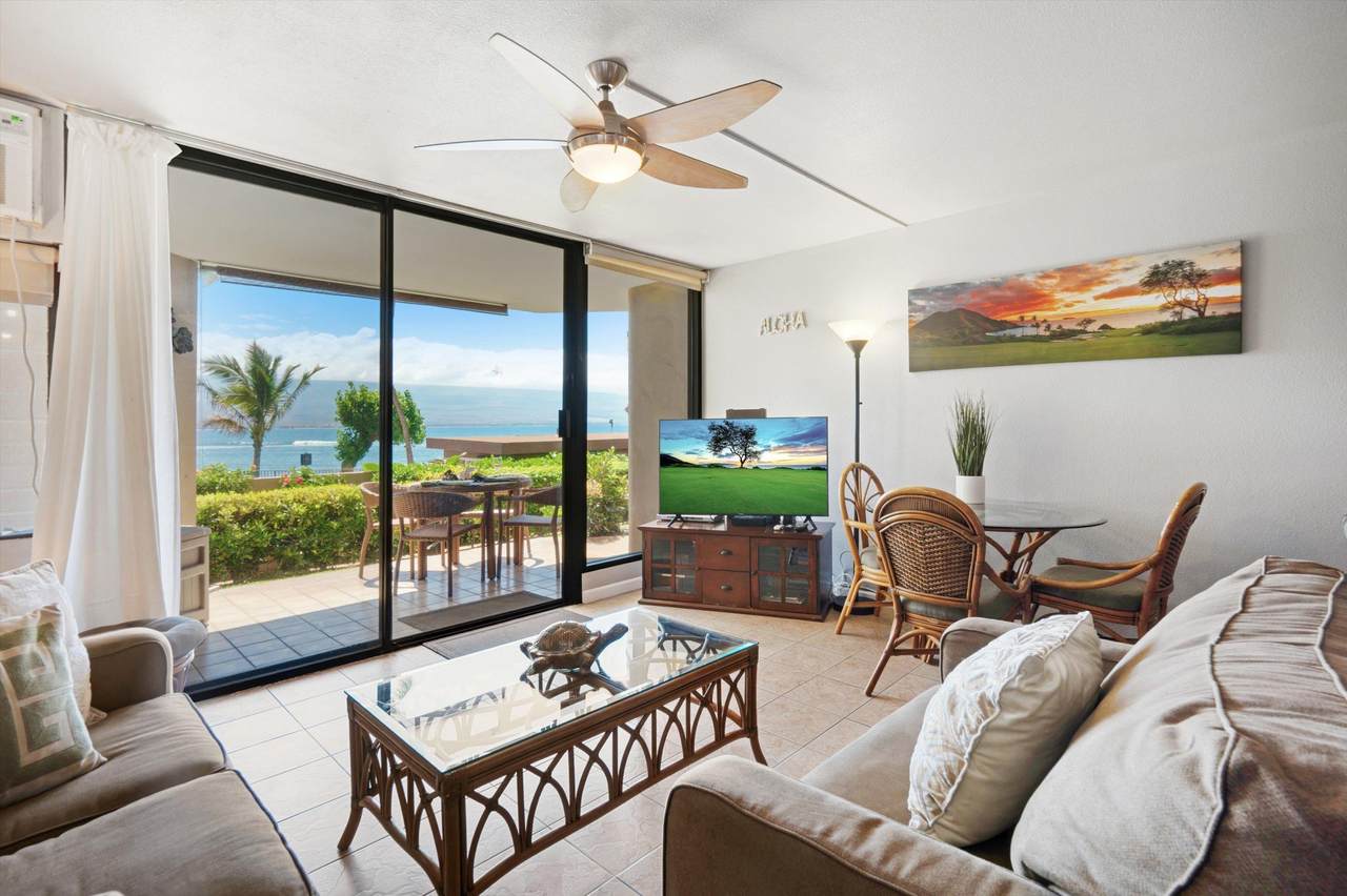 50 Hauoli St - Photo 1