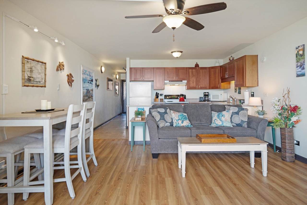 50 Hauoli St - Photo 1