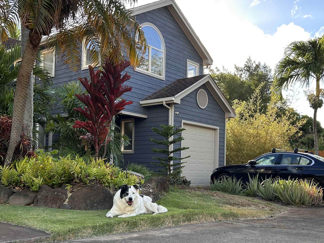 20 Kohulike Way - Photo 1