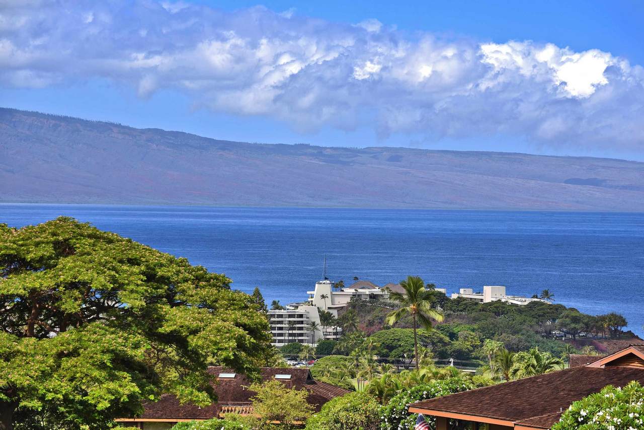 50 Puu Anoano St - Photo 1