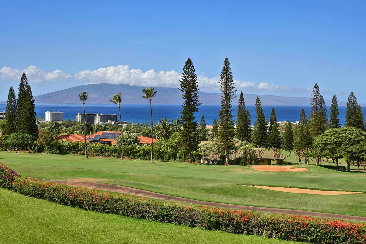 50 Puu Anoano St - Photo 1