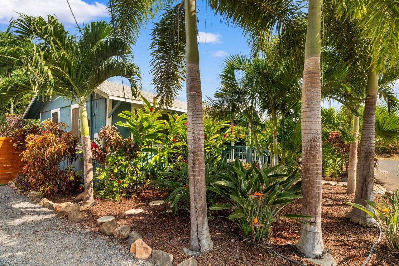 https://bt-photos.global.ssl.fastly.net/maui/1280_boomver_1_407381-2.jpg
