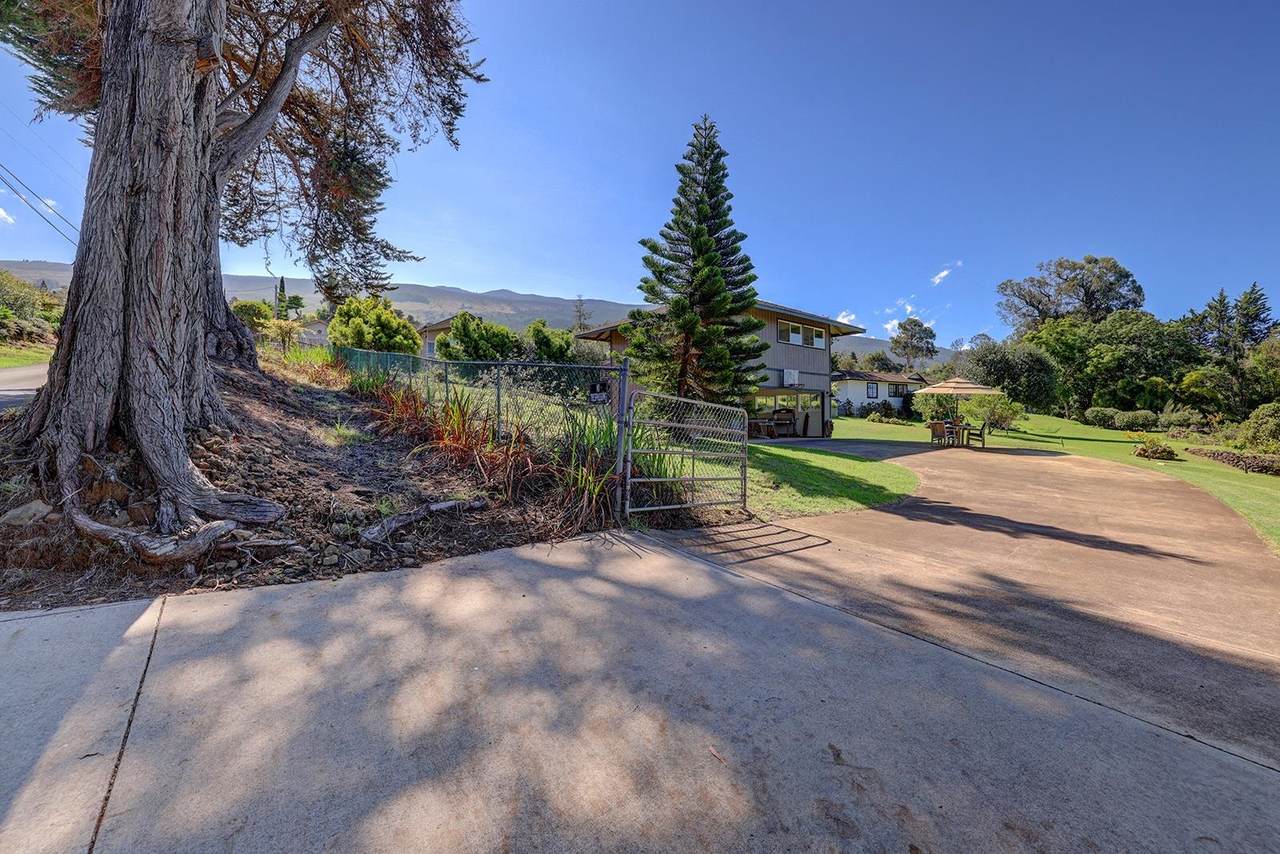 1530 b Kamehameiki St - Photo 1