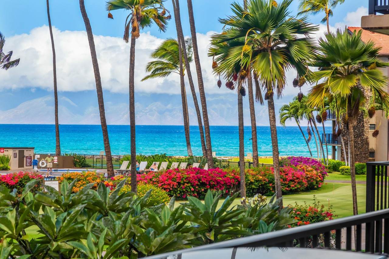 3543 Lower Honoapiilani Rd - Photo 1