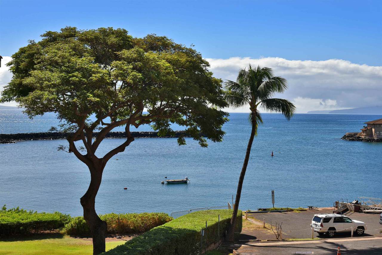 20 Hauoli St - Photo 1