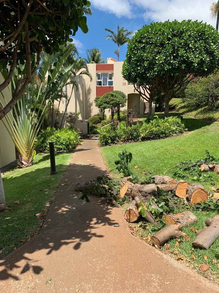 3150 Wailea Alanui Dr - Photo 1