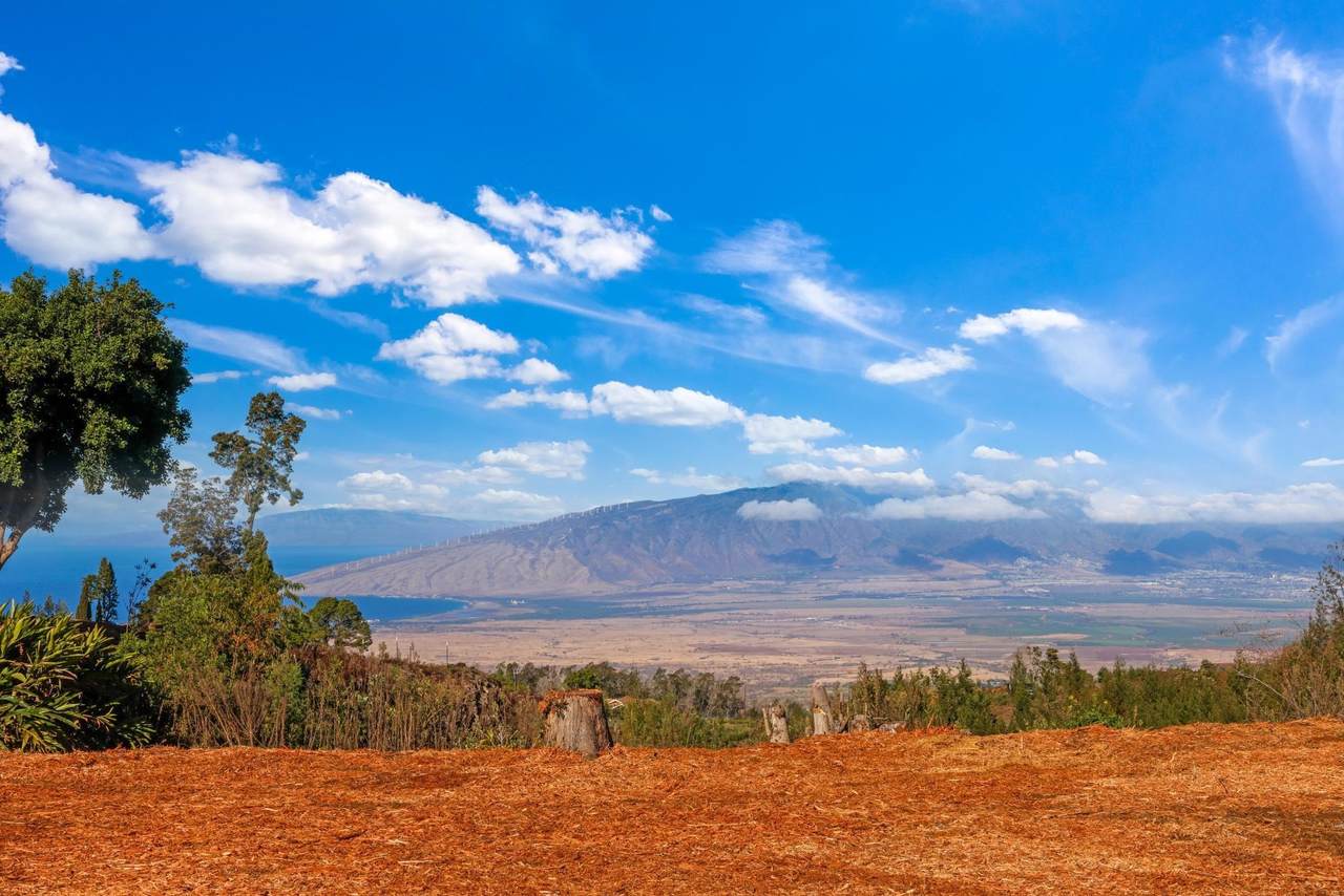 0 Haleakala Hwy - Photo 1