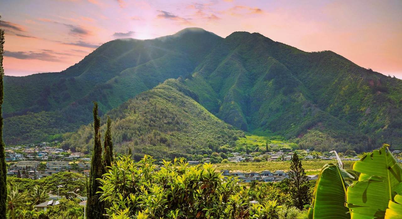 663 Meakanu Ln - Photo 1