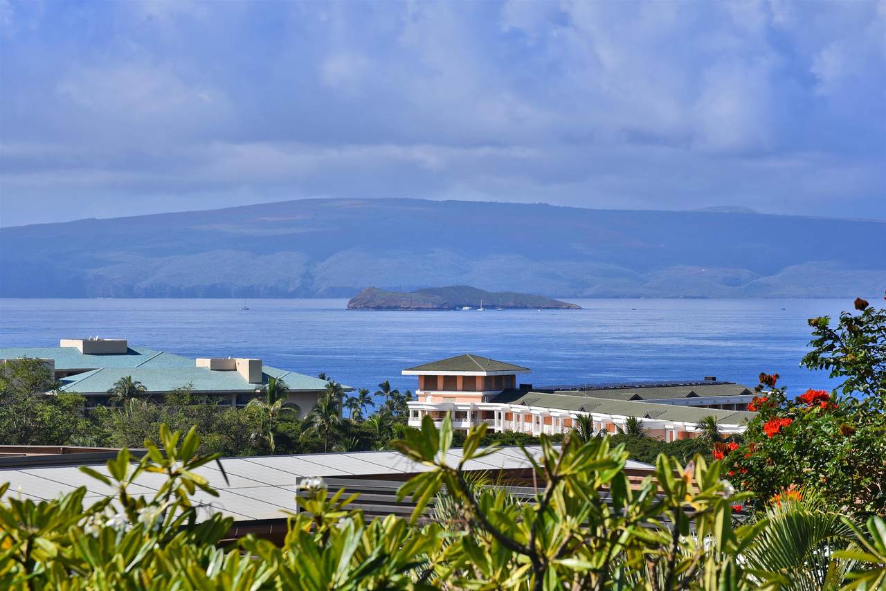 10 Wailea Ekolu Pl - Photo 1