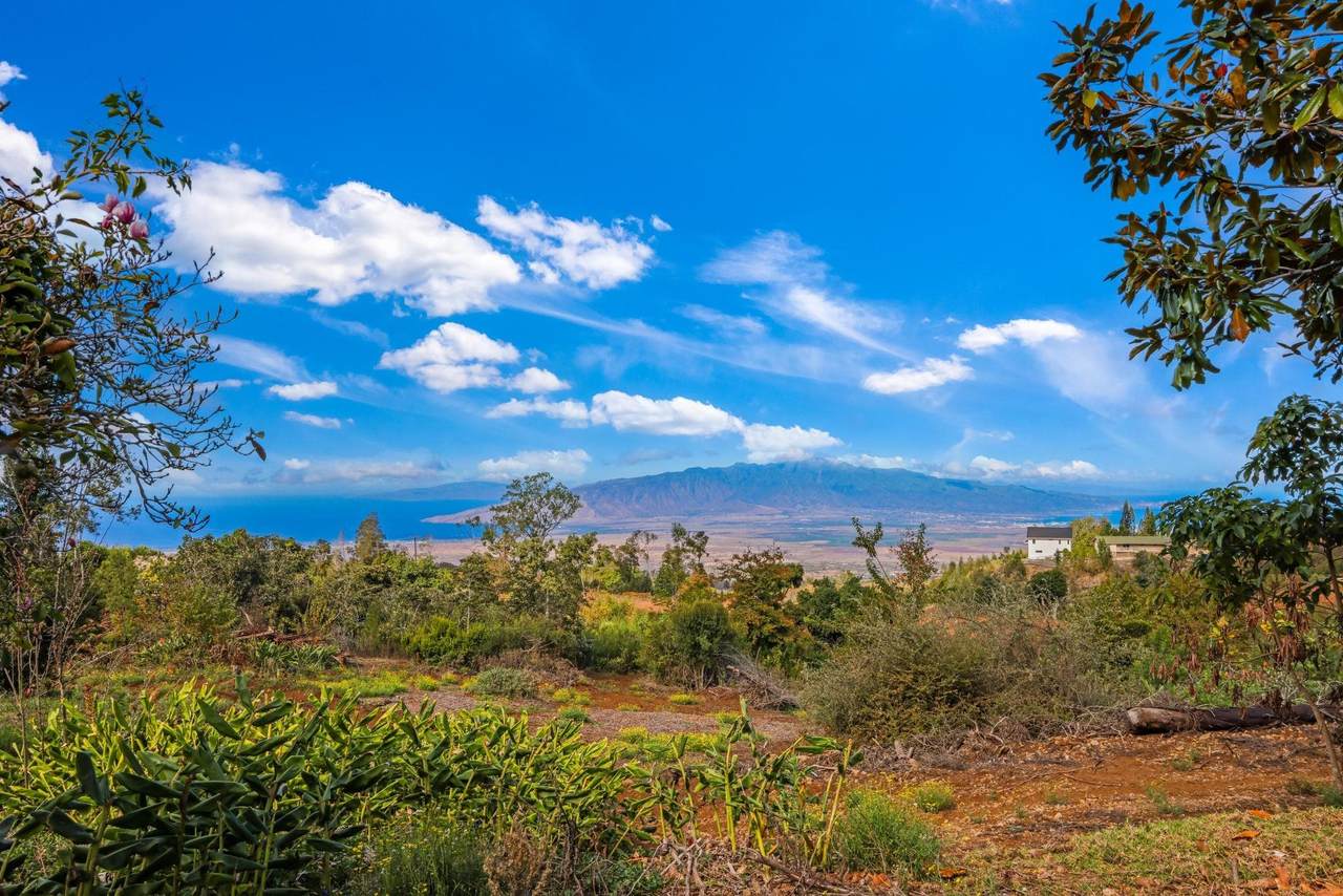 0 Haleakala Hwy - Photo 1