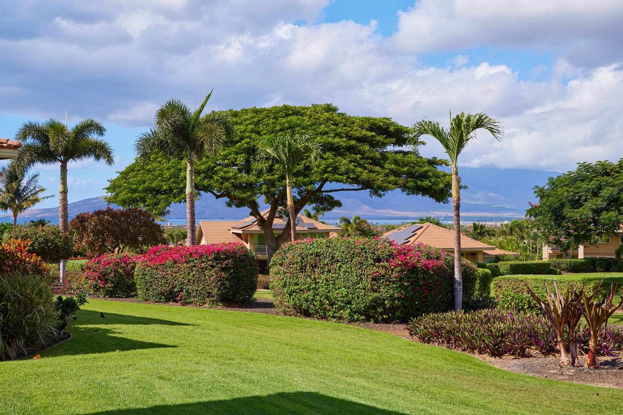 1294 Hihimanu St - Photo 1