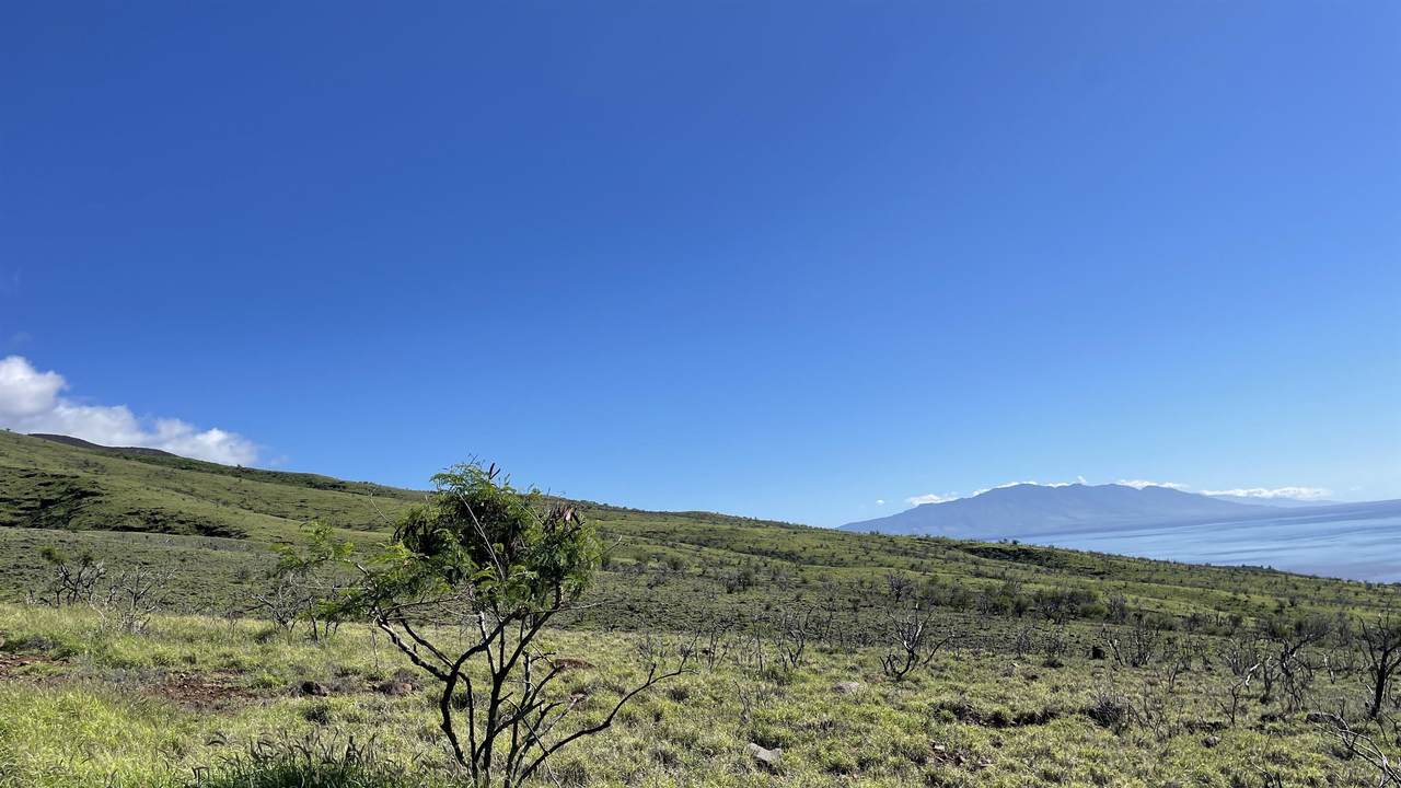 https://bt-photos.global.ssl.fastly.net/maui/1280_boomver_1_408001-2.jpg