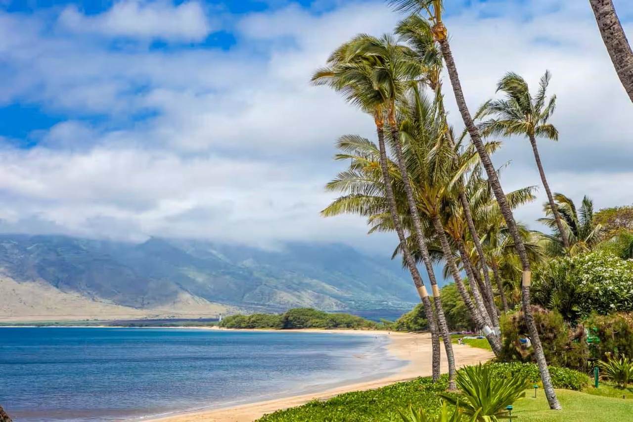 938 S Kihei Rd - Photo 1