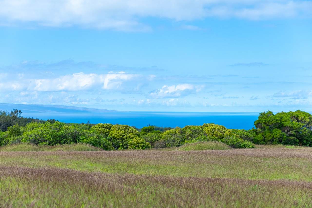 https://bt-photos.global.ssl.fastly.net/maui/1280_boomver_1_408074-2.jpg