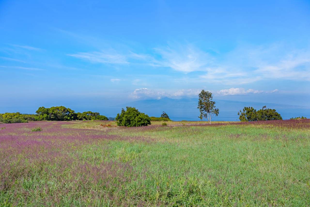 https://bt-photos.global.ssl.fastly.net/maui/1280_boomver_1_408074-2.jpg