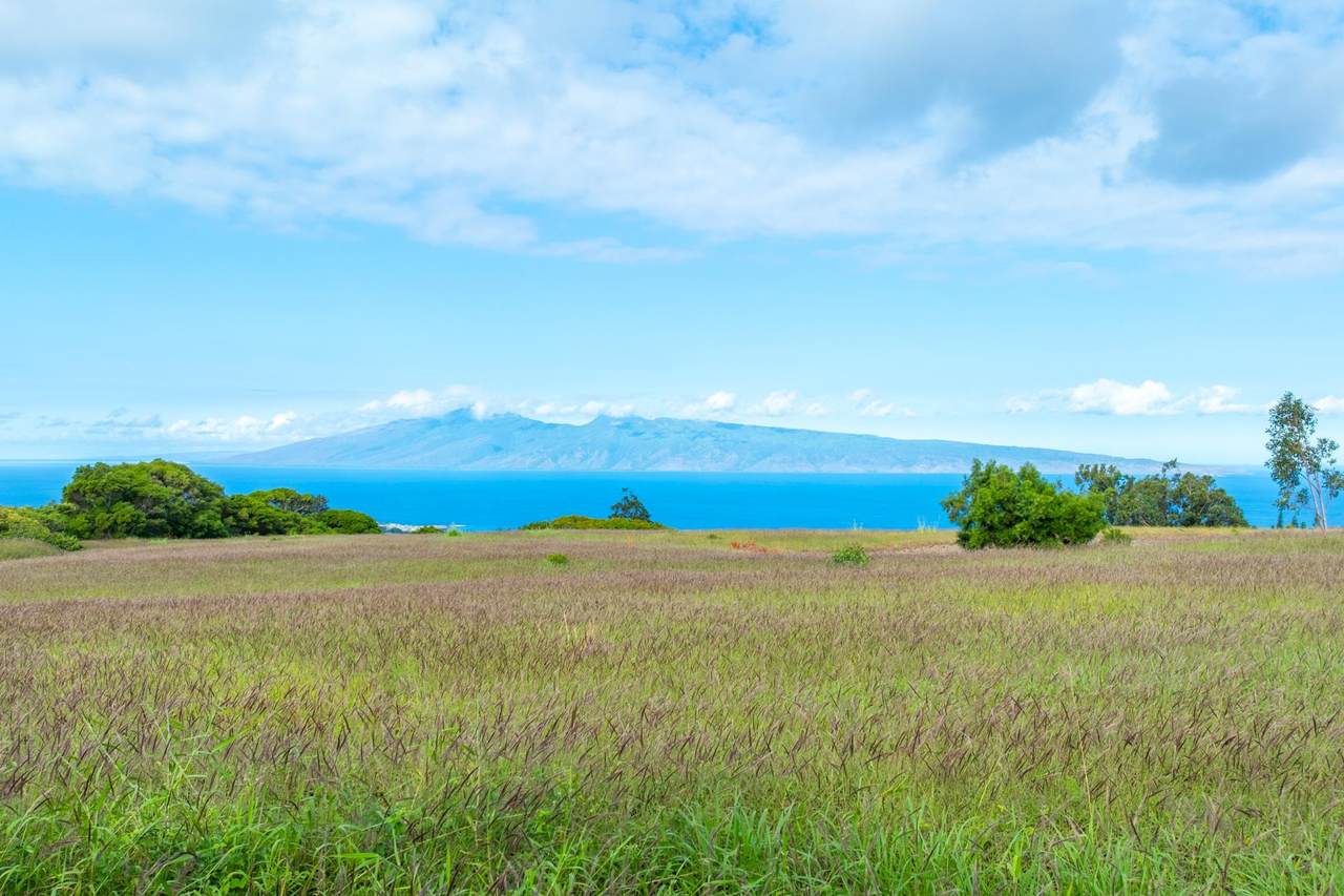 https://bt-photos.global.ssl.fastly.net/maui/1280_boomver_1_408075-2.jpg