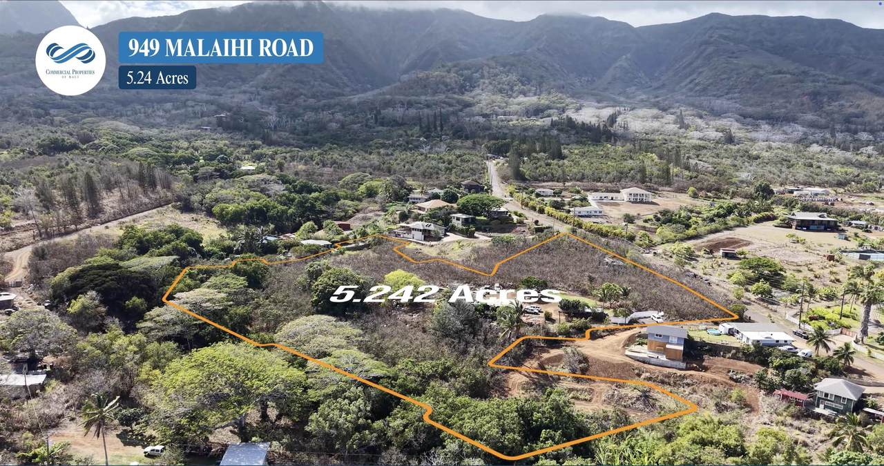 967 Malaihi Rd - Photo 1