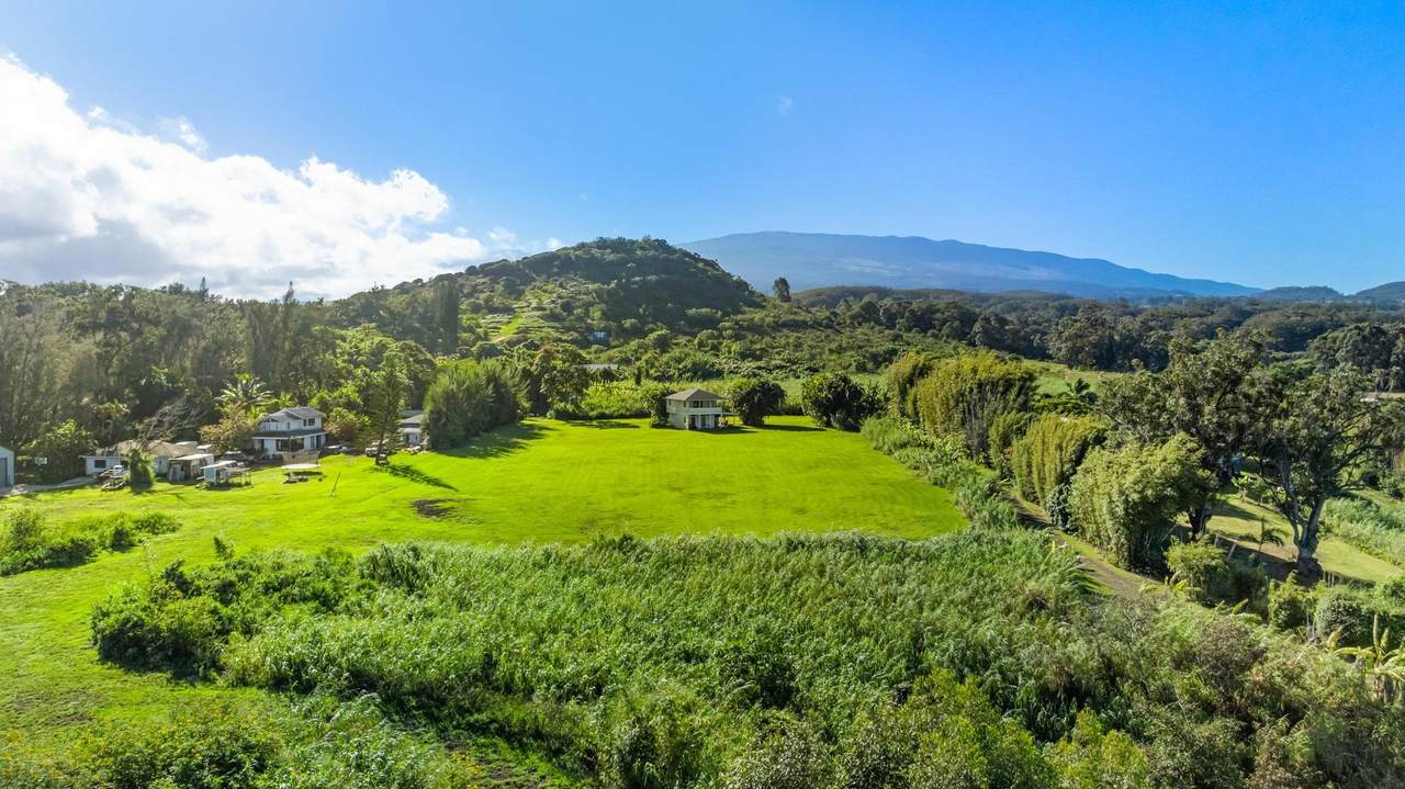 654 Kaupakalua Rd - Photo 1