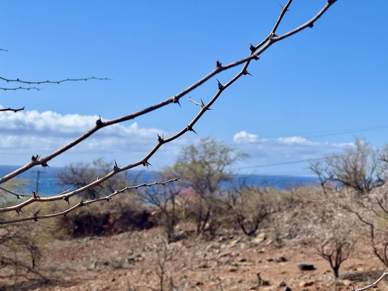 https://bt-photos.global.ssl.fastly.net/maui/1280_boomver_1_408226-2.jpg
