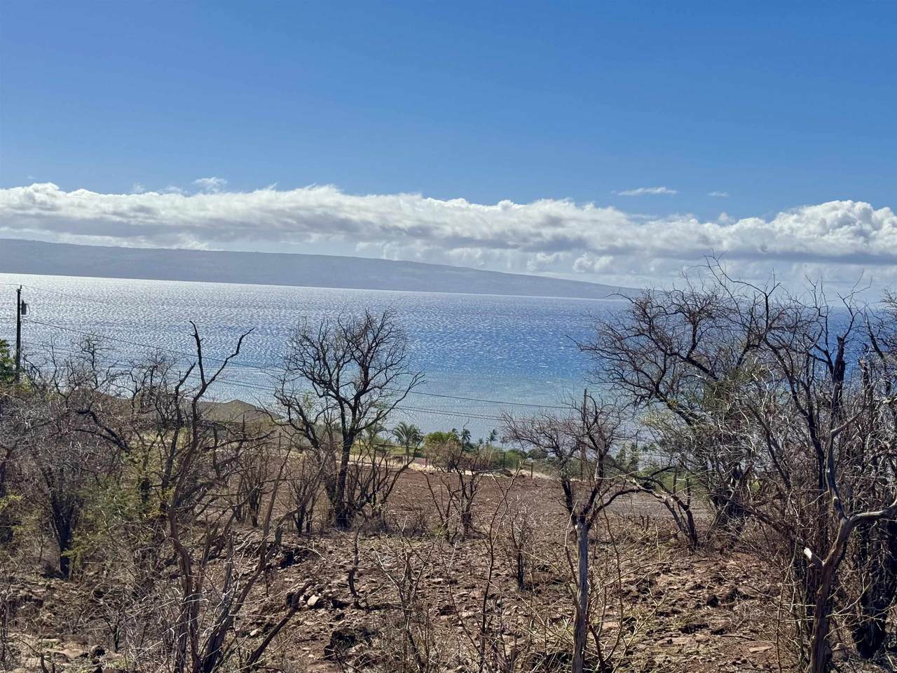 https://bt-photos.global.ssl.fastly.net/maui/1280_boomver_1_408227-2.jpg