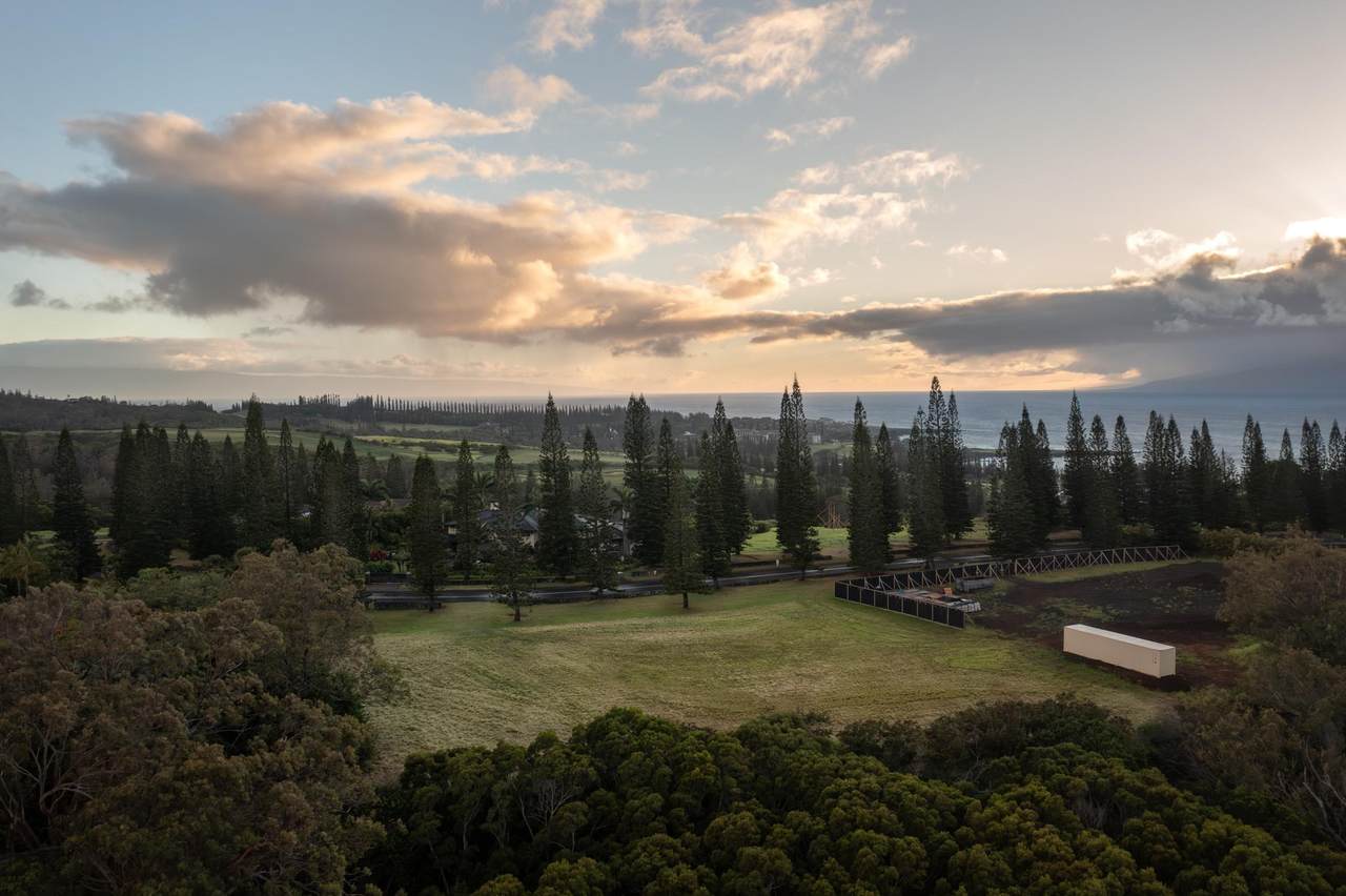 221 Plantation Club Dr - Photo 1