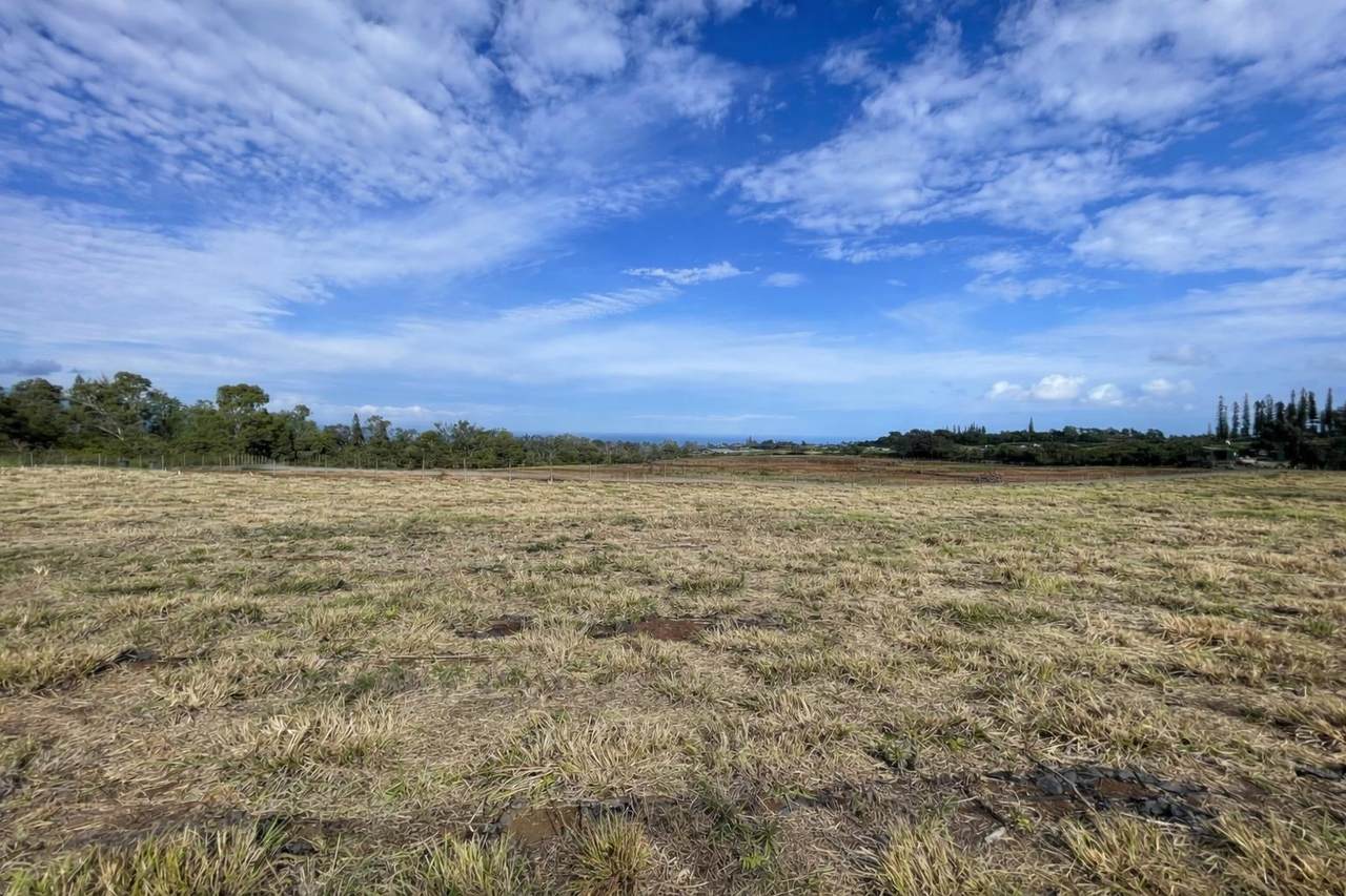 1221 Haliimaile Rd - Photo 1