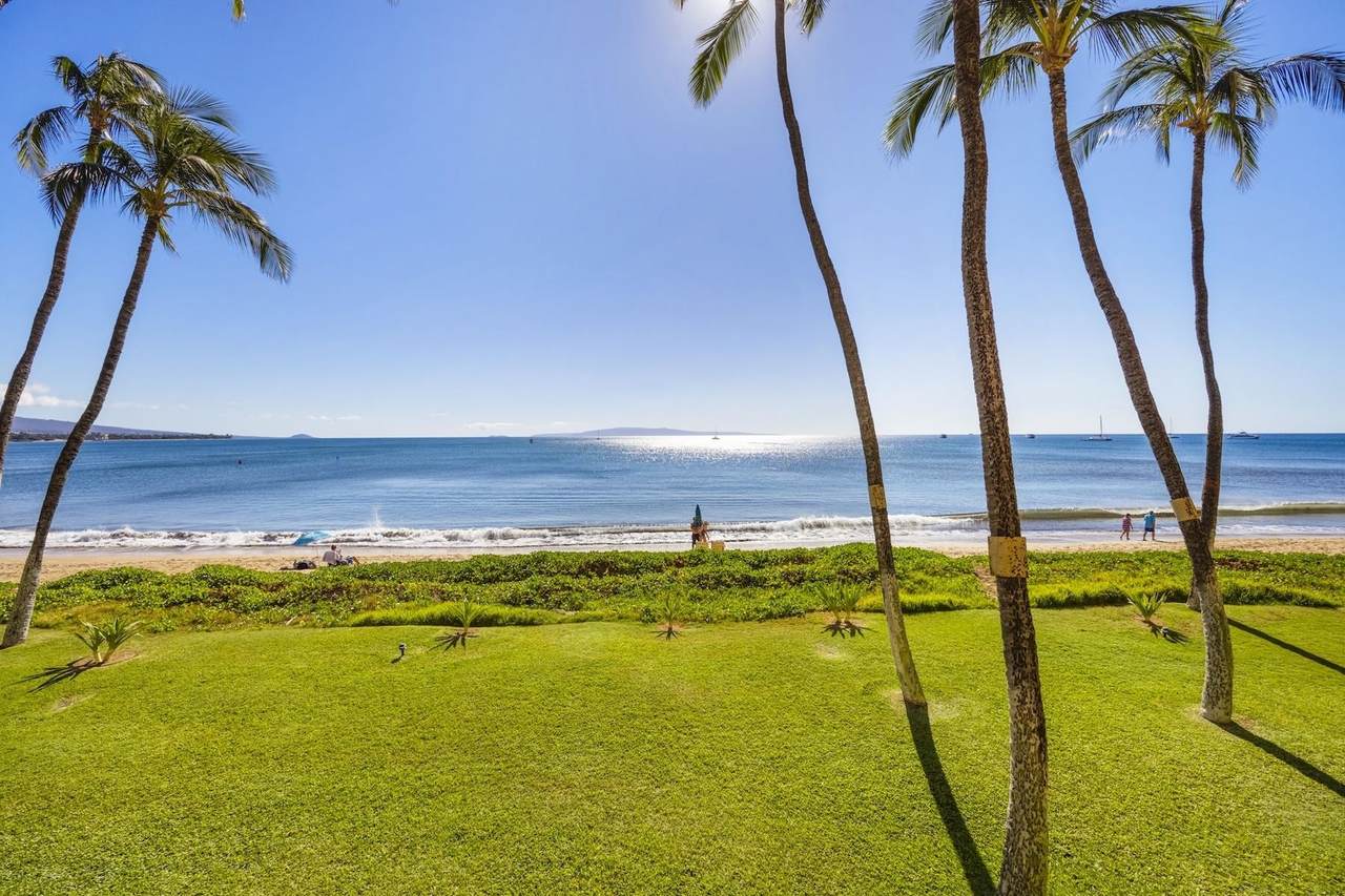 145 Kihei Rd - Photo 1