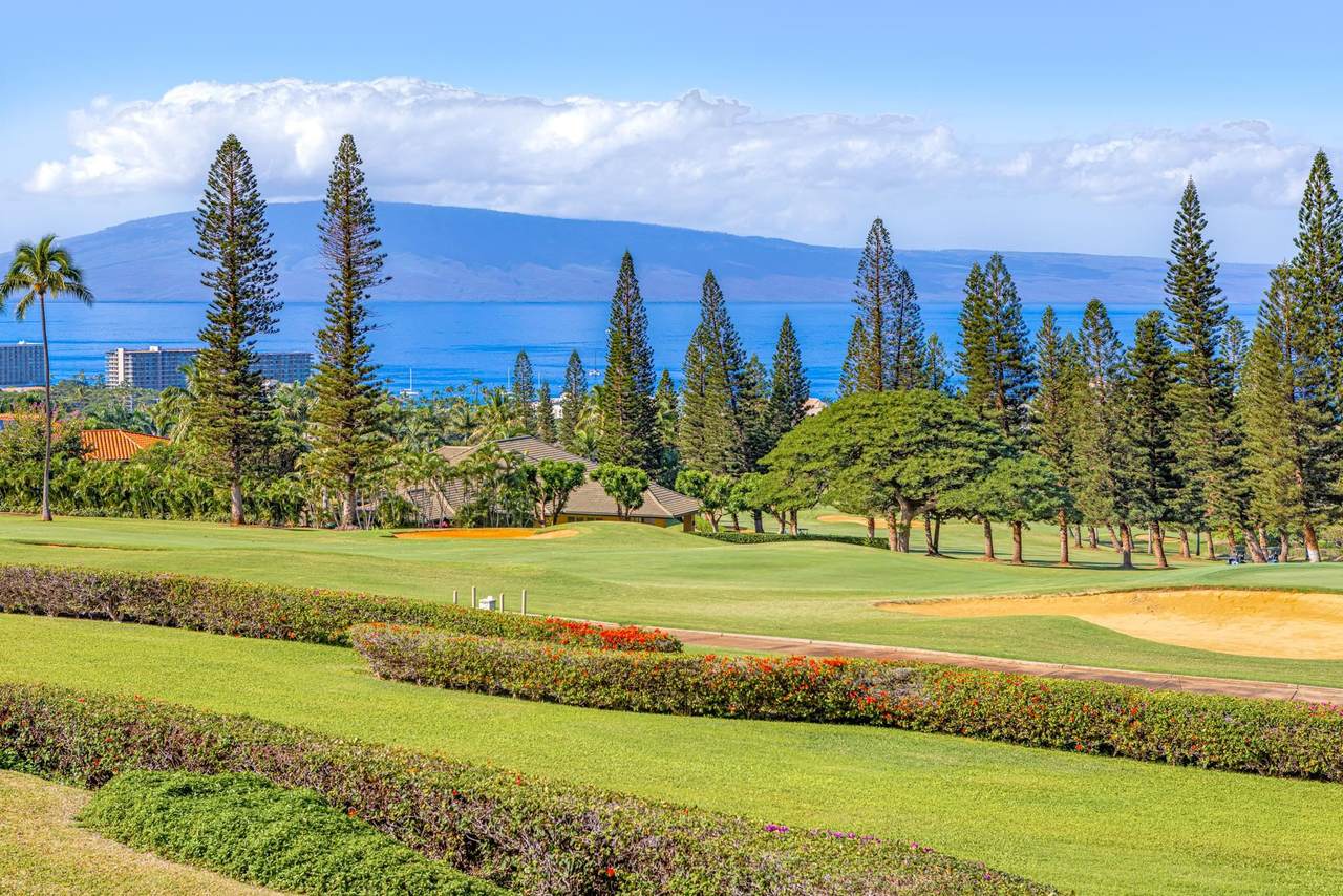 https://bt-photos.global.ssl.fastly.net/maui/1280_boomver_1_408535-2.jpg