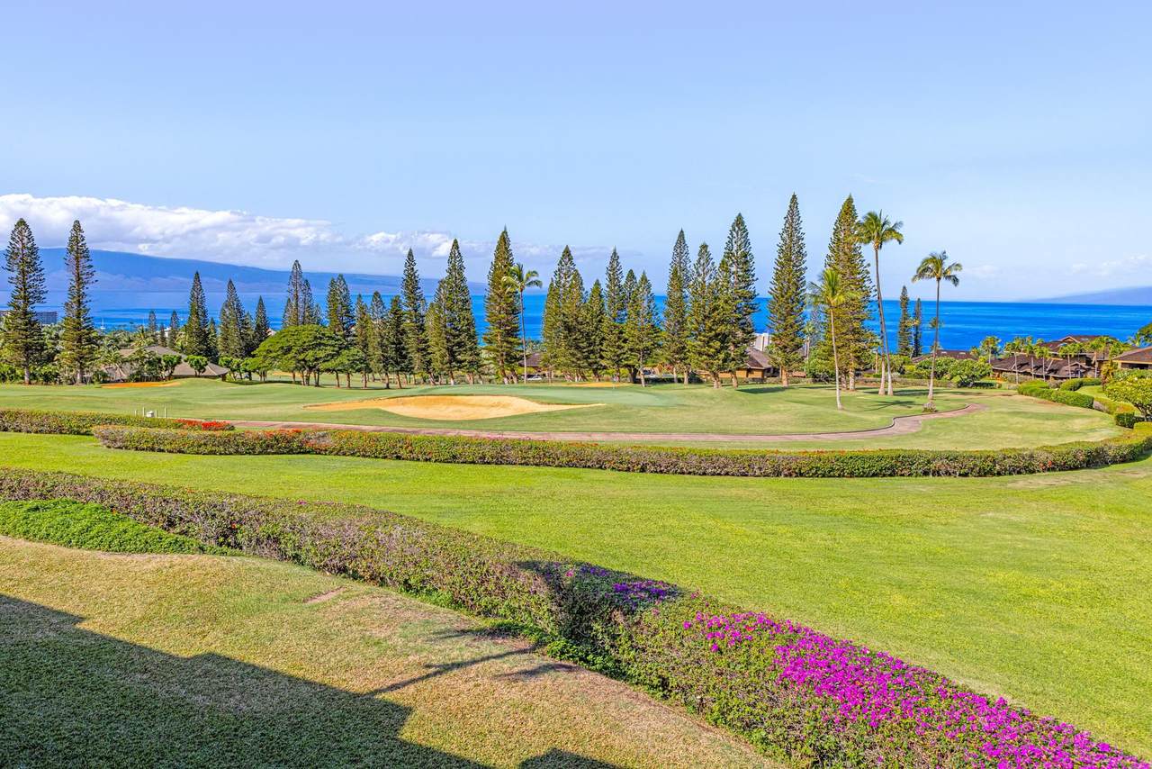 https://bt-photos.global.ssl.fastly.net/maui/1280_boomver_1_408535-2.jpg