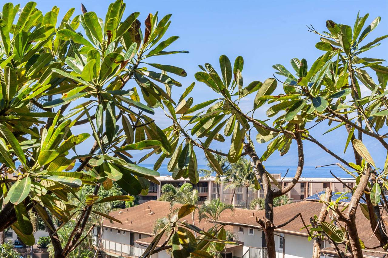 https://bt-photos.global.ssl.fastly.net/maui/1280_boomver_1_408540-2.jpg