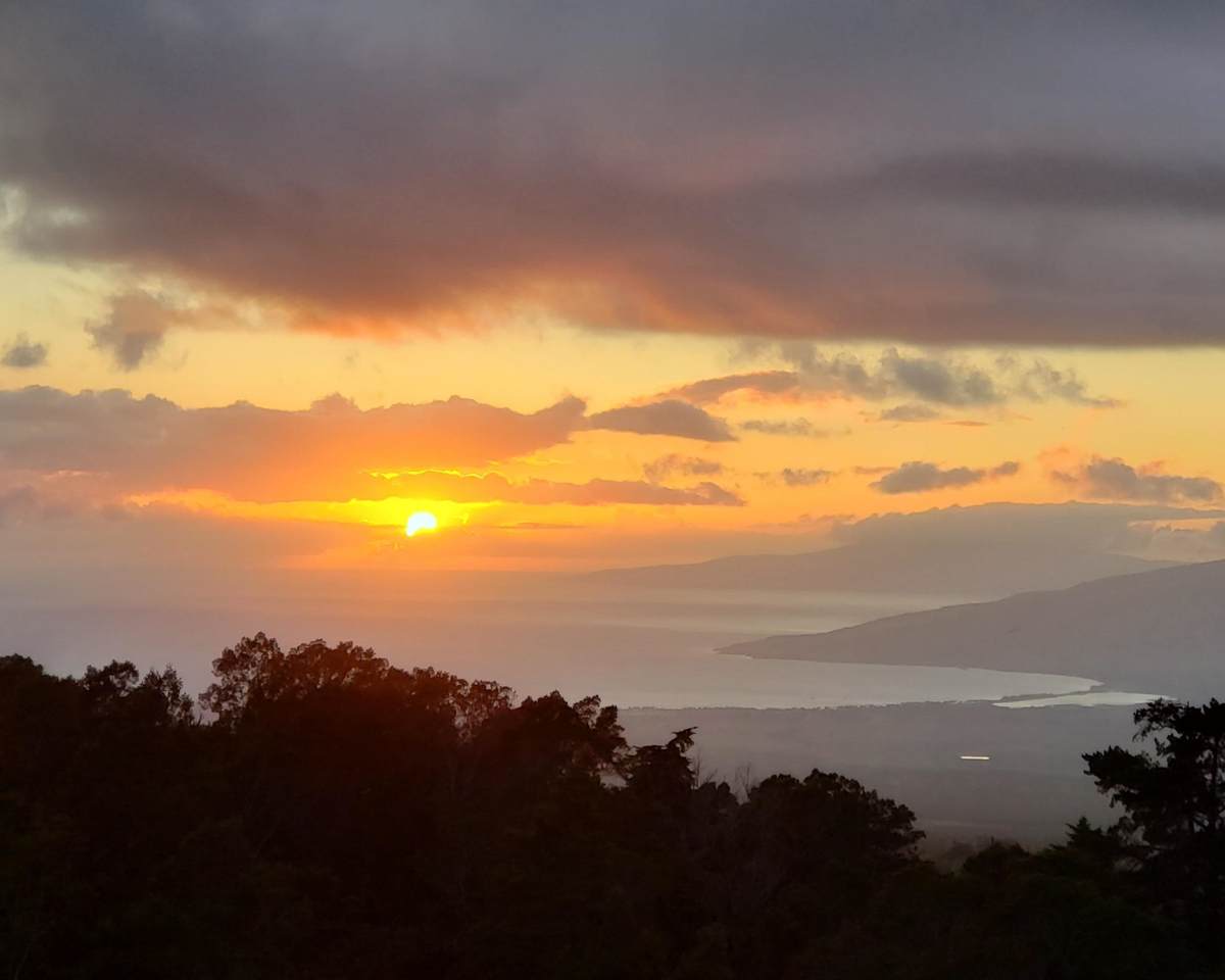 https://bt-photos.global.ssl.fastly.net/maui/1280_boomver_1_408588-2.jpg
