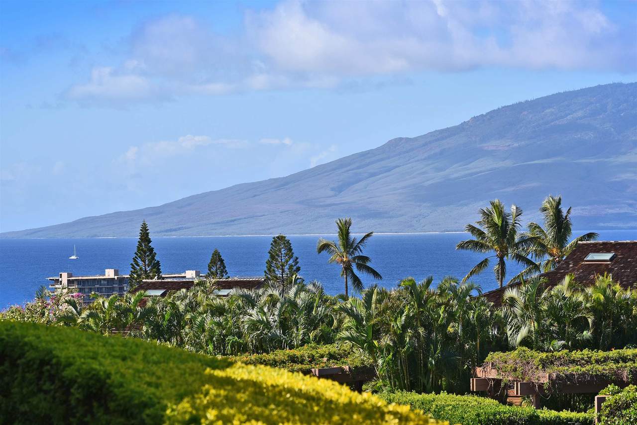 50 Puu Anoano St - Photo 1