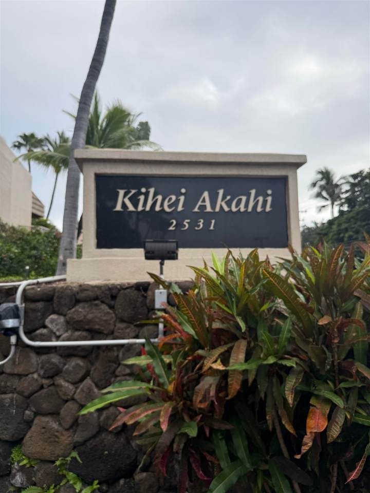 2531 Kihei Rd - Photo 1