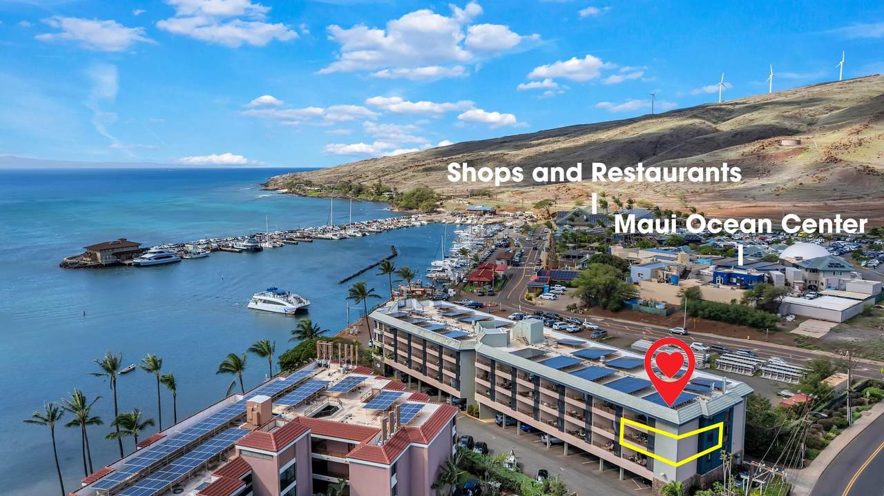 20 Hauoli St - Photo 1