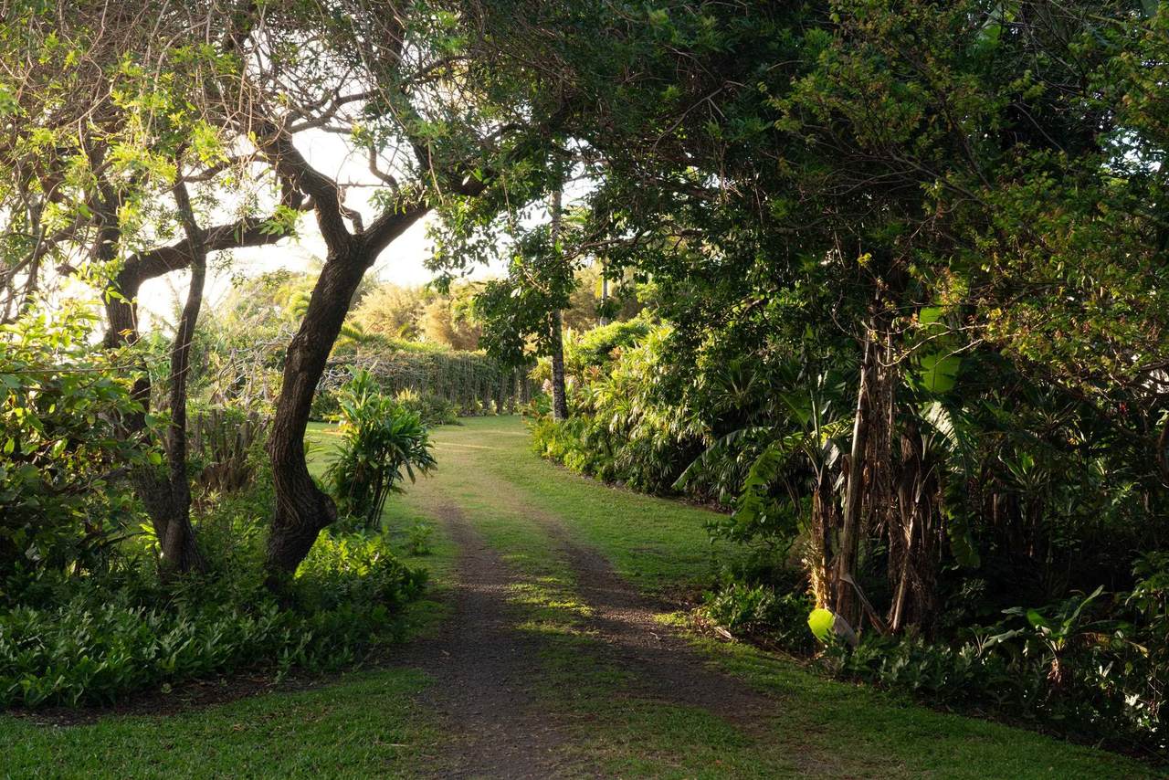 https://bt-photos.global.ssl.fastly.net/maui/1280_boomver_1_408878-2.jpg