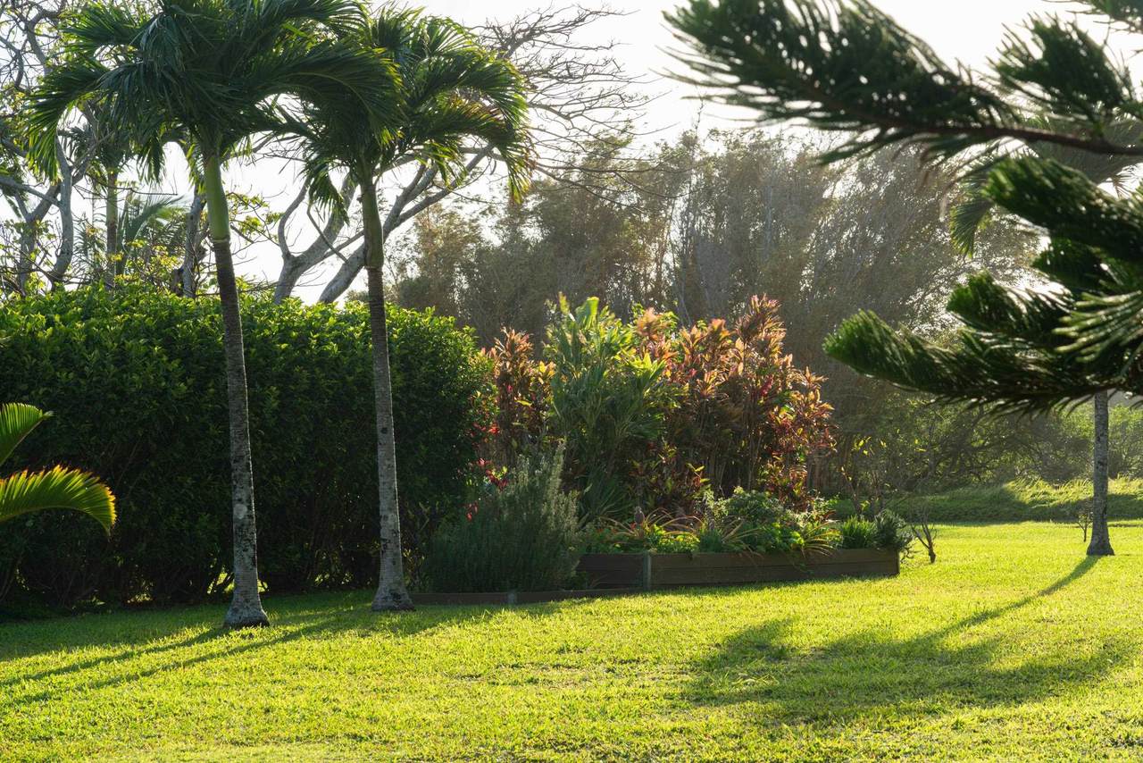 https://bt-photos.global.ssl.fastly.net/maui/1280_boomver_1_408878-2.jpg