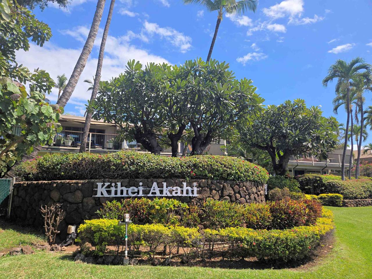 2531 Kihei Rd - Photo 1