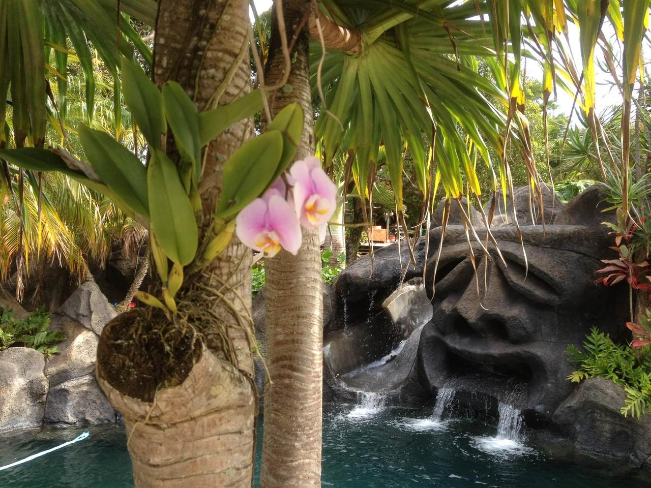 https://bt-photos.global.ssl.fastly.net/maui/1280_boomver_1_408952-2.jpg