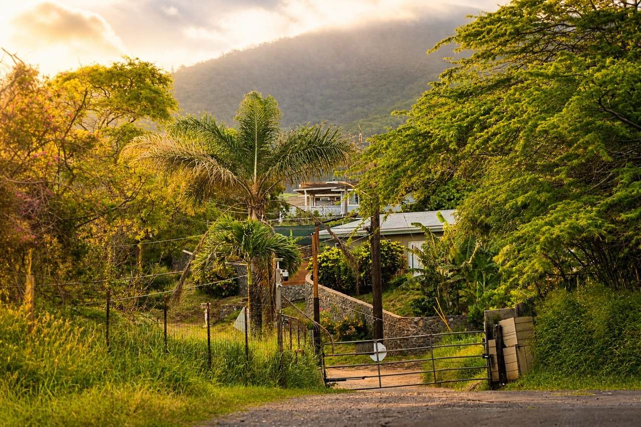 https://bt-photos.global.ssl.fastly.net/maui/1280_boomver_1_408967-2.jpg