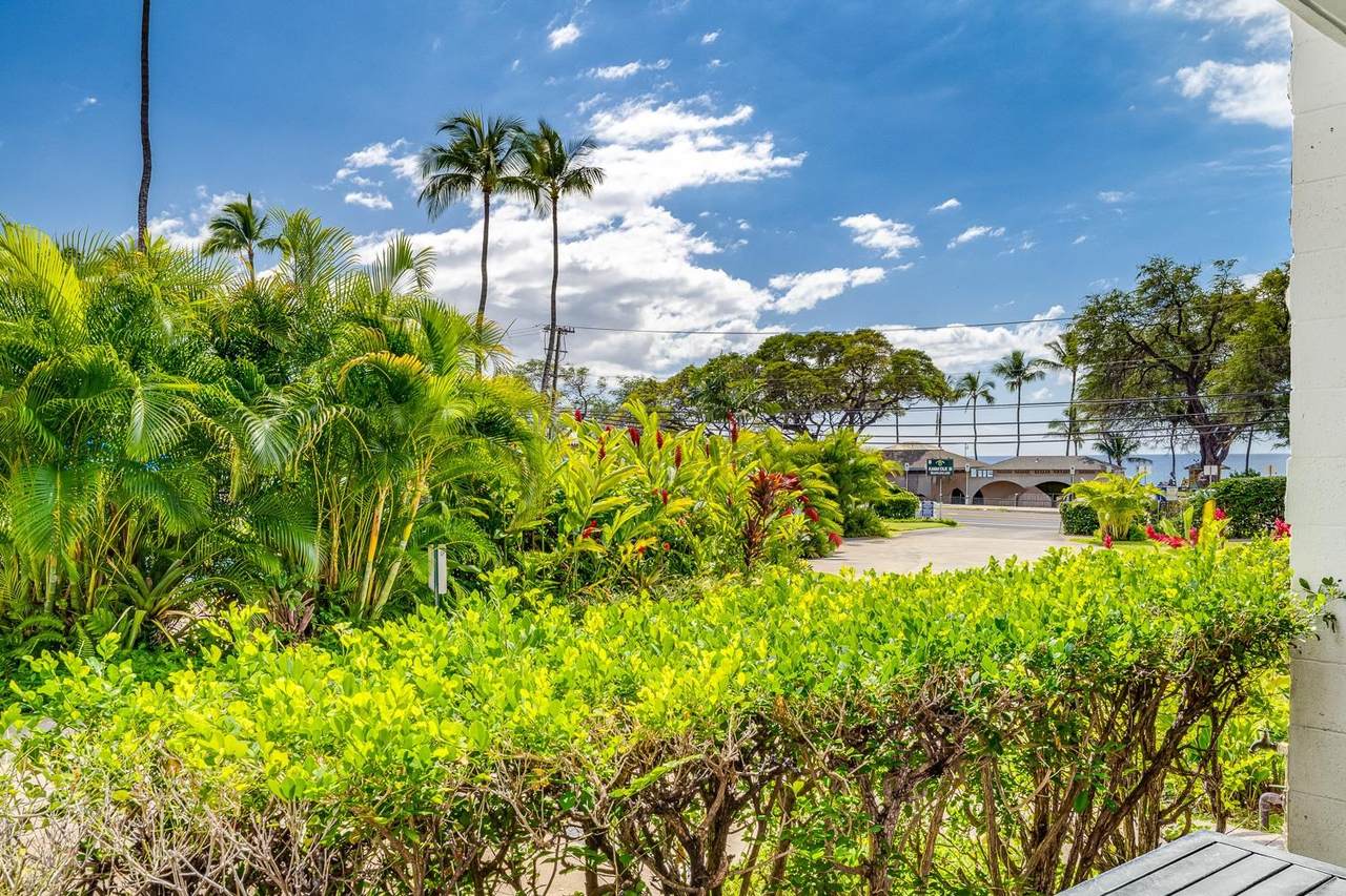 https://bt-photos.global.ssl.fastly.net/maui/1280_boomver_1_408975-2.jpg