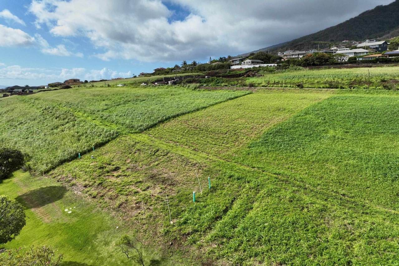 https://bt-photos.global.ssl.fastly.net/maui/1280_boomver_1_408989-2.jpg