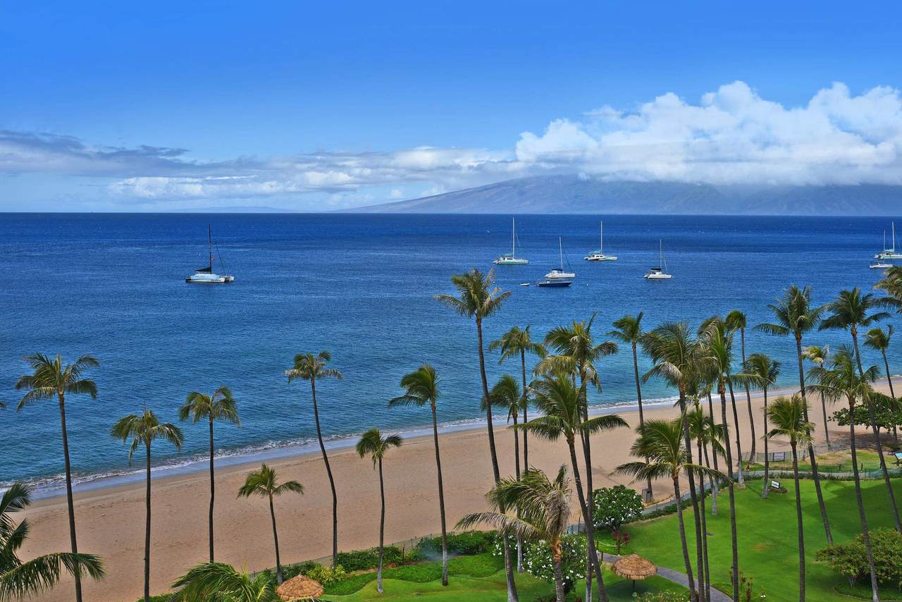 50 Nohea Kai Dr - Photo 1