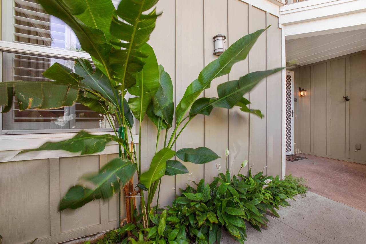 https://bt-photos.global.ssl.fastly.net/maui/1280_boomver_1_409128-2.jpg